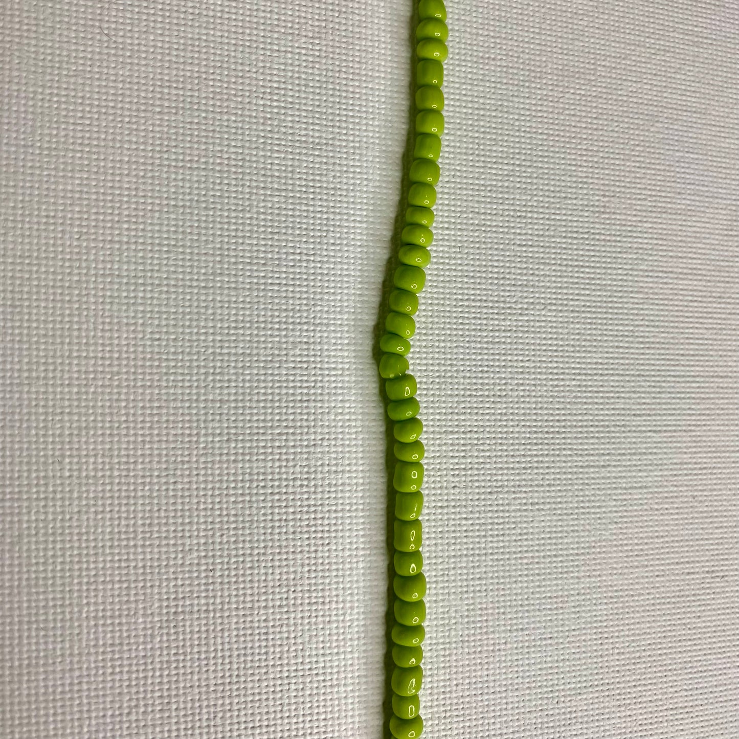 Okra Herbal Infused  Money Waistbeads