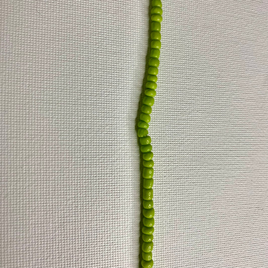 Okra Herbal Infused  Money Waistbeads