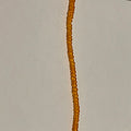 Orange  Energy Waistbeads